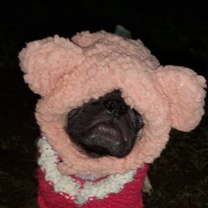 Meet your Posher, Jacqueline